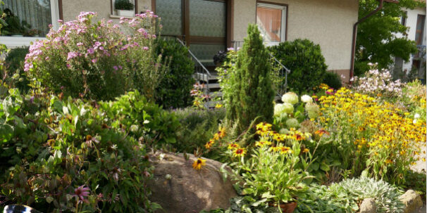 Naturschutz vor der Haustüre - Münzenberg
