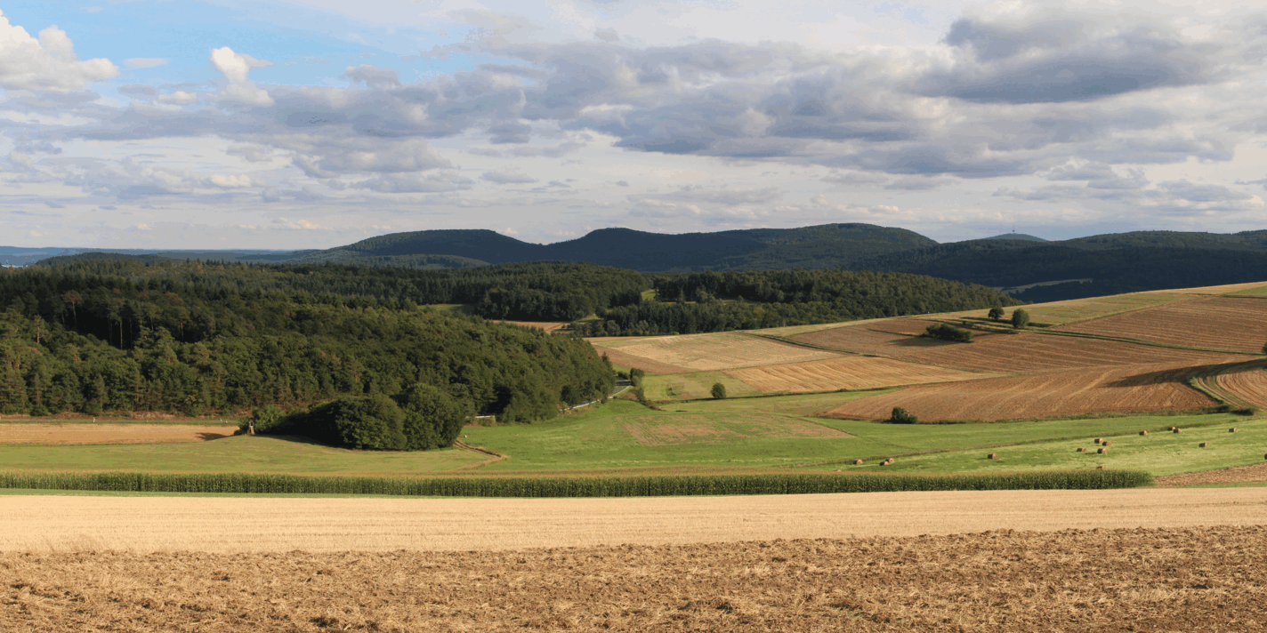 DREISBERG-KOPPE-HEMMERICH-DÜNSBERG-PLATTE